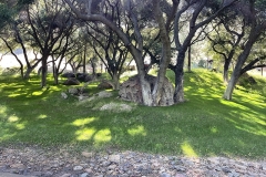 IMG_023_Grass_001
