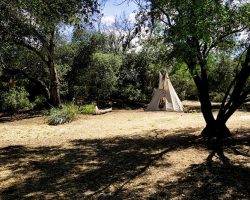 Indian-Camp_002