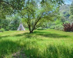 Indian-Camp_007