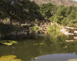 Lake_016