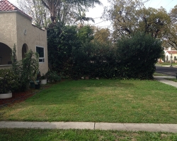 exterior_0005
