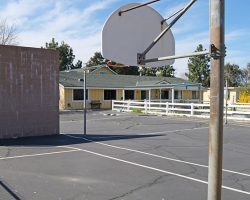 Ace_039_Grounds