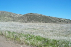 Agua-Dulce-Mountain-Ranch-Image-002