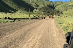 Agua-Dulce-Mountain-Ranch-Image-009