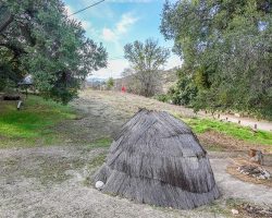 Camp_034