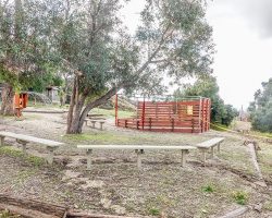 Camp_064