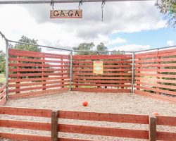 Camp_066