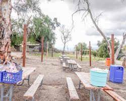 Camp_072