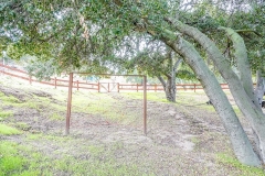 1_Camp_057