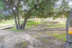 1_Camp_061
