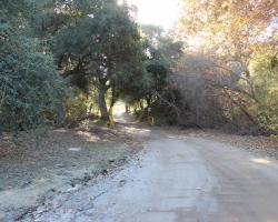 lower_canyon_0001