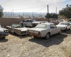 car-yard_0003