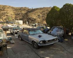 car-yard_0006