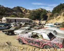 car-yard_0029