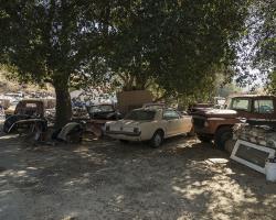 car-yard_0046