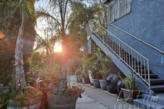ACE_006