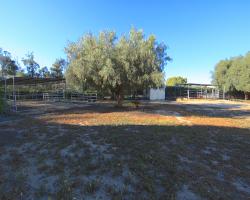 exterior_0042