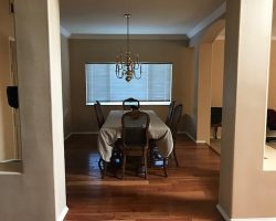 IMG_029