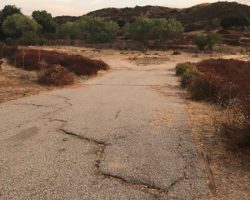 Ranch_013