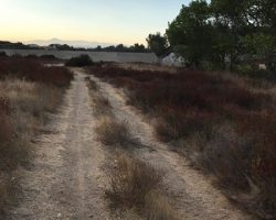 Ranch_039