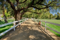 South-Buildings-Fields-Image_021