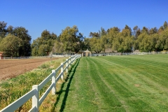 South-Buildings-Fields-Image_056