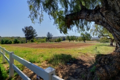 South-Buildings-Fields-Image_059