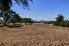 South-Buildings-Fields-Image_064