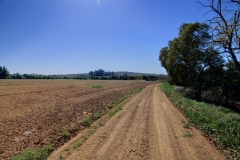 South-Buildings-Fields-Image_065