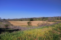 South-Buildings-Fields-Image_068