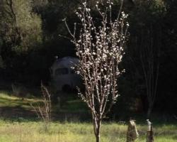 ranch_0007