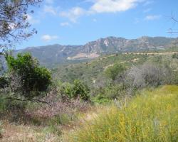 ranch_0015