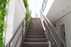 ACE_25