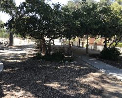 Grounds_086