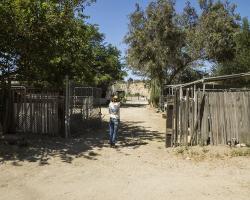 entrance-pathways_0025