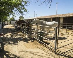 stables-corrals_0001