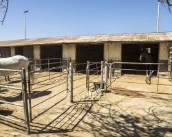 stables-corrals_0002