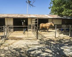 stables-corrals_0003