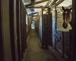 stables-corrals_0011