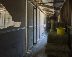 stables-corrals_0012