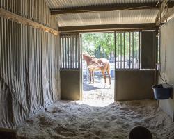 stables-corrals_0015