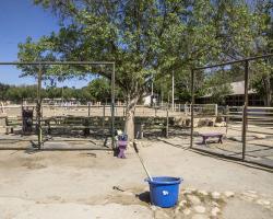 stables-corrals_0017