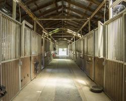 stables-corrals_0019