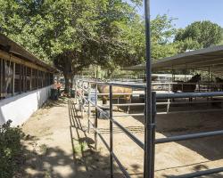 stables-corrals_0029