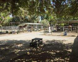 stables-corrals_0031