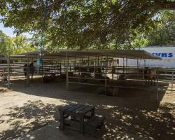 stables-corrals_0036