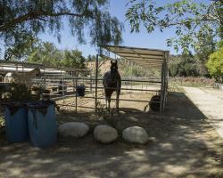 stables-corrals_0038