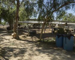 stables-corrals_0039