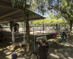 stables-corrals_0041