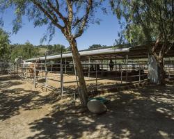 stables-corrals_0043